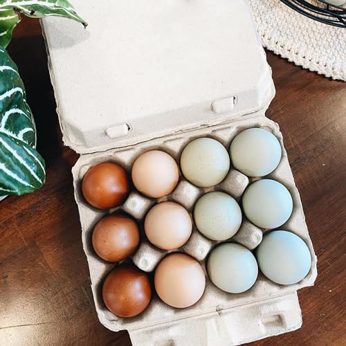 Vintage Egg Cartons for 12 Large Eggs – Classic 3x4 Layout – Durable Recycled Cardboard – Farmhouse Style – Eco-Friendly Packaging - White 200 Pack by Henlay - Image 7