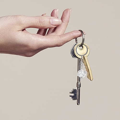 Miniatura 2 de Holibanna Llavero de hielo de resina para cubo de hielo, llavero para bolsa de coche, accesorios