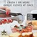 Bussani Garlic Press Crusher Presser - Best Grips - No Need a Tube Peeler- Large Capacity | Cast Aluminum Heavy Duty | Easy to Use & Clean | Great Gift for Kitchen Lovers - w/ 2 Cleaner Tool