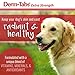Pet Health Solutions Derm Tabs Extra Strength for Dogs - Natural Oil, Vitamins, Minerals, and Antioxidants - Support Healthy Skin and Reduce Shedding -120 Chewable Tablets