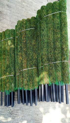 BHAJANLAL GREENERY Moss Stick Green Grass Pole (2, 3 ft) - Set of 2 (B095X2PPX5) Amazon Price History, Amazon Price Tracker