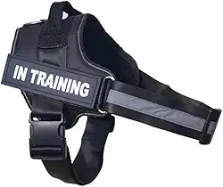 Coleira Personalizada Com Nome Telefone Para Cachorro Cães Pet Peitoral Colete Identificação (Preto, P)