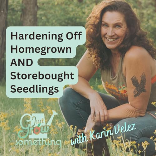 Hardening Off Homegrown AND Storebought Seedlings - Ep. 291 Podcast Por  arte de portada
