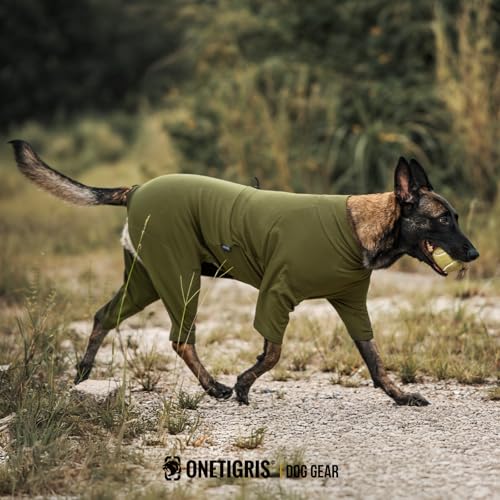OneTigris Hund Onesie, FUZZBUD Einteiler für Große und Mittelgroße Hunde Weicher Warmer Dehnbarer Mehrzweck Hundepyjama für Haarausfall, Allergien, Anti-Lecken, Wundschutz - Grün L