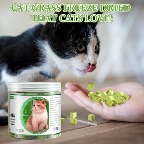 150g Katzengras Sticks, 3 Stück Katzengras Snacks Gefriergetrocknet Snacks für Katzen Beißstäbe Aus Katzengras Katzen Sticks Katzengras Fertig Gewachsen für Zahnpflege Haarknäuel Entfernen