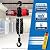 NEWTRY 2-Speed Electric Chain Hoist 2200lb, Pendant & Remote Control, Brushless Overhead Crane Lift, G80 10ft Lifting Height Power Electric Hoists 110V