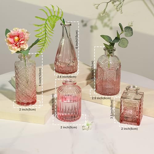Image of Art Street Decorative Set of 5 Crystal Clear Bud Vase, Transparent Flower Glass Vase for Home Decor, Flower Pot, Wedding Decoration, Living Room, Bedroom and Office Decor(Color-Pink)