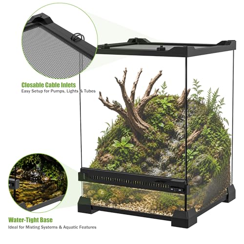 Image of Vertical Glass Reptile Enclosure Terrarium, 10 inch x 10 inch x 14 inch | 6 Gallon Fully Assembly & Front Opening Habitat Tank for Crested Geckos, Tree Frogs & Small Arboreal Reptiles