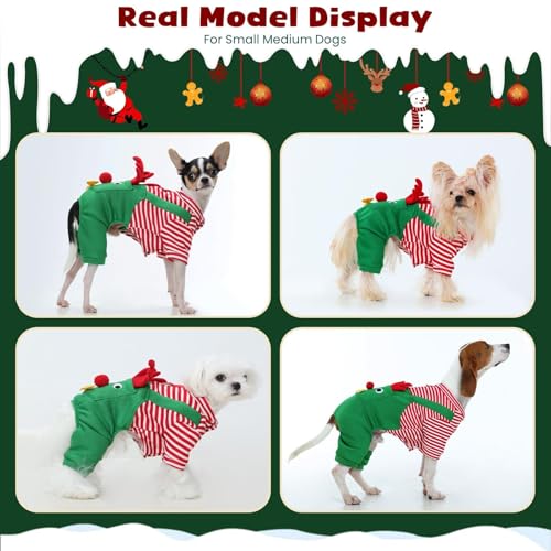 Disfraz Navideño para Perro Pezluxe Verde Small miniatura 2