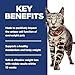 Hill's Science Diet Perfect Weight, Adult 1-6, Weight Management Support, Dry Cat Food, Chicken Recipe, 7 lb Bag