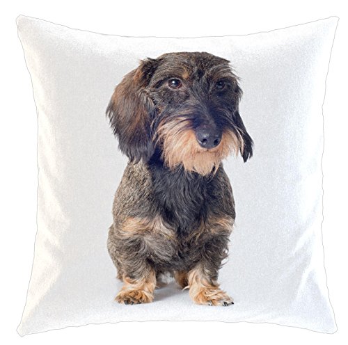Merchandise for Fans Kissen/weiches Kuschelkissen mit Füllung 40x40cm - Motiv: Dackel/Teckel - Rauhhaardackel | 022