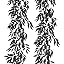 Willow Vine Black