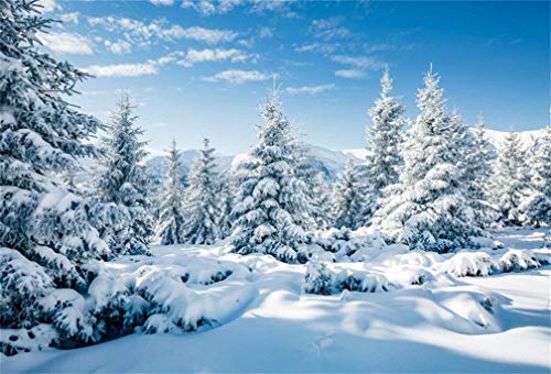 CSFOTO 10x8ft Winter Landscape Backdrop Winter Forest Ice and Snow World Theme Ba