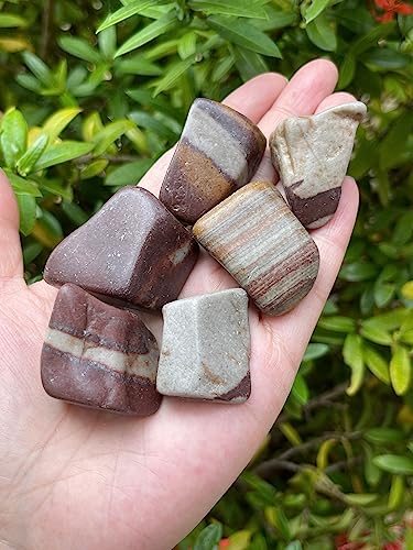 Image of GAF TREASURES 1 /2 LB Shiva Lingam Tumbled Stones, Polished Shiva Lingam Gemstone, Shiva Lingam Healing Crystals (Shiva Lingam)