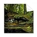 Stream Green Forestry Science Nature Scenery Cleaning Cloth Phone Screen Glasses Cleaner 5pcs
