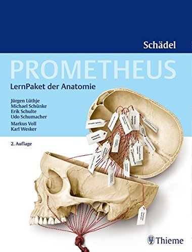 PROMETHEUS LernPaket Anatomie Schädel by Jürgen Lüthje (2016-04-13)