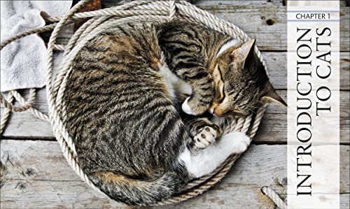 The Cat Encyclopedia: The Definitive Visual Guide