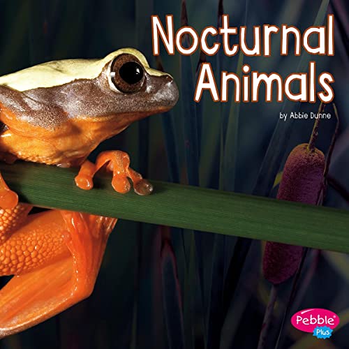 Nocturnal Animals by Abbie Dunne episode artwork