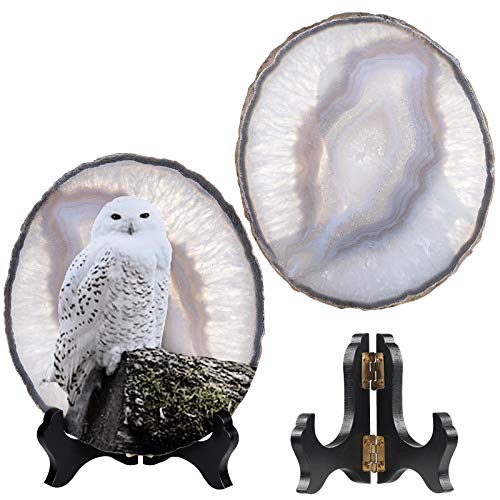 Tranche d'agate cadeau idéal pour amateurs de nature et décoration