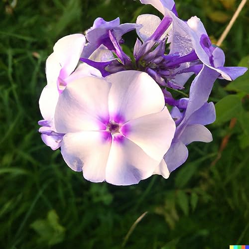 How to set up a standing order natwest How to set up a standing order natwest