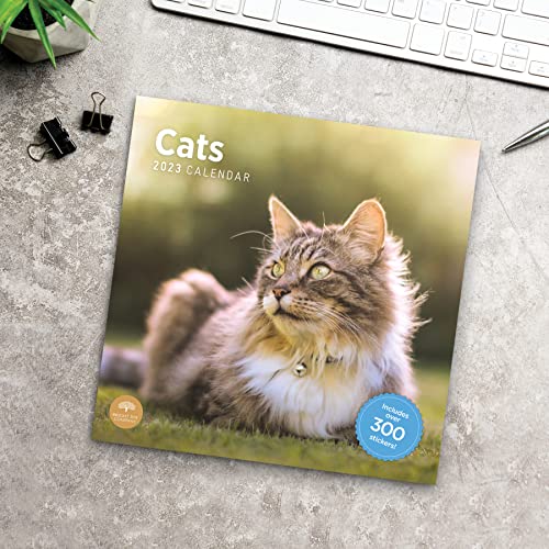 2023 Cats Monthly Sticker Wall Calendar By Bright Day, 12 X 12 Inch, Cute Adorable Pet Photography #TOP6