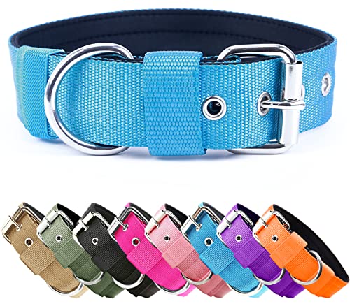 Collare tattico per cani resistente, larghezza 3,8 cm, in nylon spesso e resistente, con fibbia in metallo regolabile, collare K9 per cani di taglia piccola, media e grande, azzurro, XL