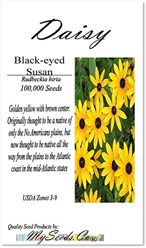 Big Pack - (100,000+) Black Eyed Susan Flower Seeds - Self Reseeds Rudbeckia Hirta - Perfect Golden Cut Flowers - Flower Seeds By Myseeds.co (Big Pack - Black Eyed Susan) #TOP1