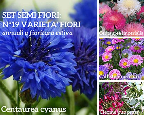 Semi Fiori d'Estate, Mix di Sementi Fiori Annuali alti 80/90cm per aiuole,giardino o da recidere