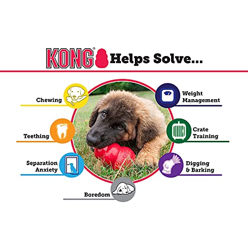 Kong - Extreme Dog Toy - Toughest Natural Rubber, Black - Fun To Chew, Chase And Fetch - For Xx-Large Dogs #TOP3