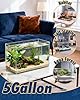 5 Gallon Ultra Clear Glass Fish Tank, Easy to Maintain Small Aquarium for Betta, Goldfish, Shrimp, Snails and Aquatic Plants