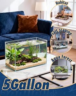 5 Gallon Ultra Clear Glass Fish Tank, Easy to Maintain Small Aquarium for Betta, Goldfish, Shrimp, Snails and Aquatic Plants