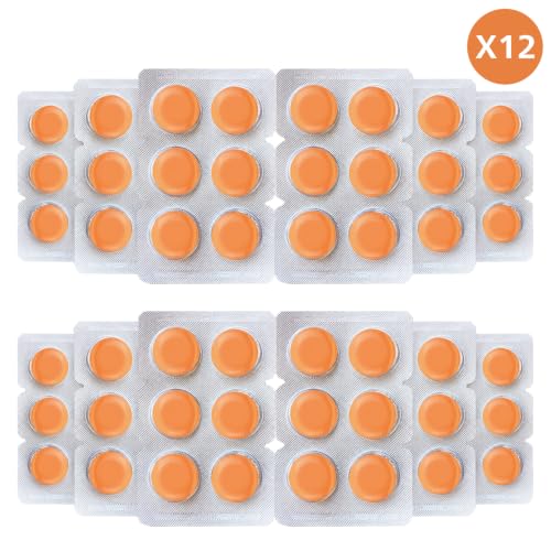 Image of Lozenges Ginger Mint Flavour | Herbal Throat Soother for Cough, Cold & Sore Throat | Pack of 12 (12 Strips)