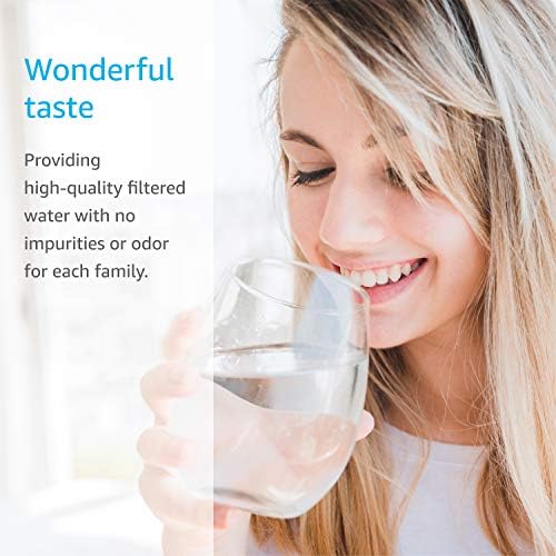 Waterdrop Replacement Water Filters, Replacement for ZeroWater® ZR-017, ZR-001 Jug Filters and Dispenser Filters, Reduce TDS, 98% Chlorine, Bad Taste and Odor, 2 Packs, Model No.:WD-C23