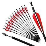 REEGOX Crossbow Bolts 20 inch Bio Crossbow Arrows with Moon Nocks and Removable Tips (Pack of 12) (20"-Red)
