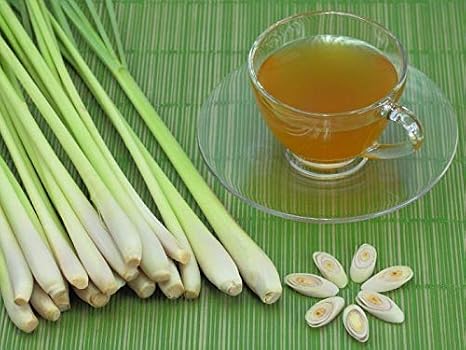 Ranong Tea Brand, Organic Lemongrass Pandan Tea, 20 tea bags