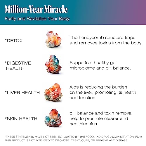 Todicamp Zeolite Detox - Zeolite Capsules Sorbolit Ultra Fine 1-2 Μm - Zeolite Clinoptilolite Powder 95% - 3X Activated - 120 Capsules - Zeolite Powder Supplement - 2 Months Supply #TOP3