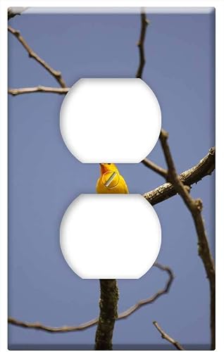 Tapa de salida de placa - Nature Birds Barcelona Quindio Colombia