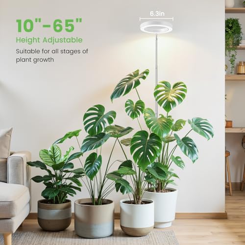 Image of Aokrean Halo Plant Grow Light for Indoor Plants, 6.3in Full Spectrum White | 1 Pack, 10-65 in Height Adjustable, 80 LEDs Growing Lamp with Auto Timer for 6 /12 /16Hrs, 3 Optional Spectrums, 5 Brightness