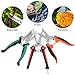 KeShi Pruning Shears Garden Cutter Clippers, Stainless Steel Sharp Pruner Secateurs, Professional Bypass Pruning Hand Tools Scissors Kit 3 PCS