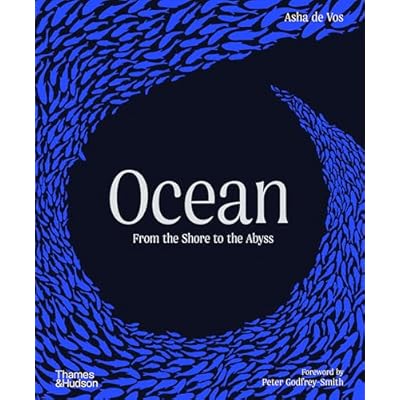 Ocean
