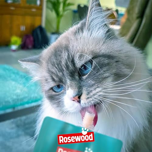 Rosewood Deli Delight Lachspüree für Katzen, 80g – Feines Topping oder Snack – Hoher Feuchtigkeitsgehalt – Ohne Zusatzstoffe – Für wählerische Stubentiger