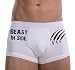 MySexyShorts Men's Sexy "Beast inside" Underwear Stretchable boxer briefs