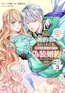 婚約者に忘れられた私、隣国の皇太子殿下と偽装婚約することになりました（※ただし、殿下の本命は私みたいです！？）　分冊版（３） (異世界ヒロインファンタジー)