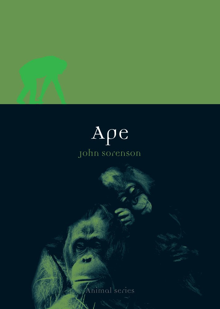 Ape (Animal)