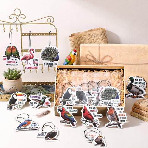 Image of Siifert 24 Pcs Vet Tech Appreciation Gift Bulk Funny Bird Air Freshener Car