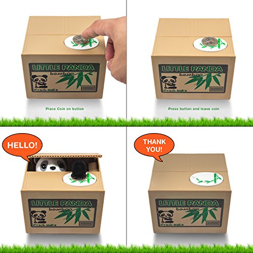 Matney Stealing Coin Panda Box Piggy Bank Panda Bear English Speaking Great for Any Child
