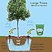Tree I-V 3-pk Fill & Haul Root Feeder Watering System - Includes Plug & Lid - All Features of Base System with Additional Benefit of Reaching Remote Trees