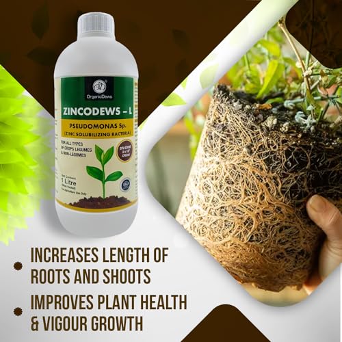 Image of OrganicDews Zinc Solublizing Bacteria (2x10^8 CFU /ML) Bio Inoculum Fertilizer (1 litre) for Plants - Soil Fertility, Faster Plant Growth and Increases the Yield