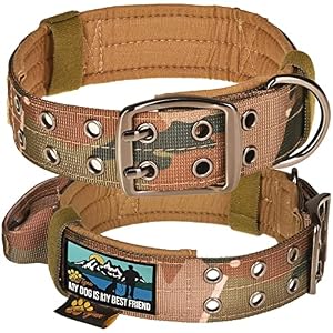 Dog Collar with Handle Dog Collar for Large Dogs Tactical Dog Collar with Patch Area and Two Patches Included