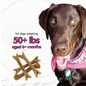   Belly-Bones-for-Dogs-4-Yogurt-Flavor-Large-Dog-Dental-Treats-Made-in-USA-4-Count-Dog-Treats-for-Large-Dogs-Plaque-and-Tartar-Control-for-Fresh-Breath-Digestive-Health-Support